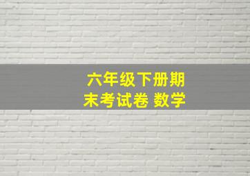 六年级下册期末考试卷 数学